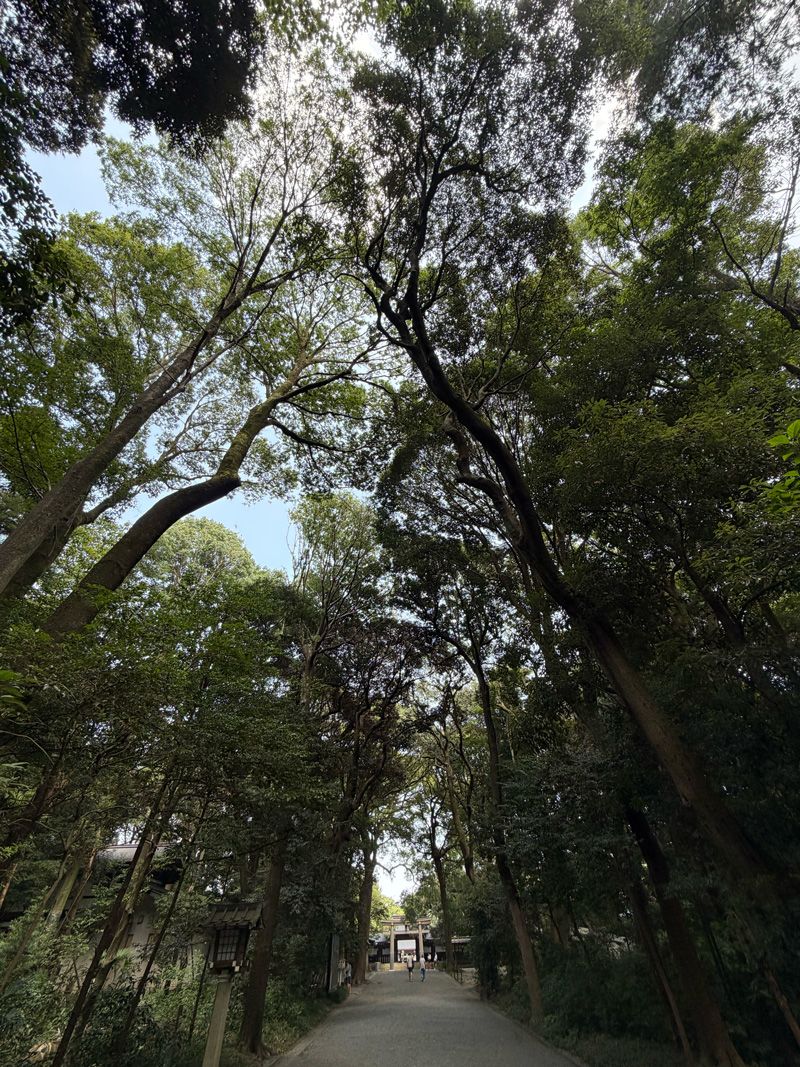 iPhone 17 Pro Maxで撮影。17/17Pro/17 Pro maxともに超広角カメラは48MP Fusionカメラに。ゴーストも減り、解像力が大きく向上した