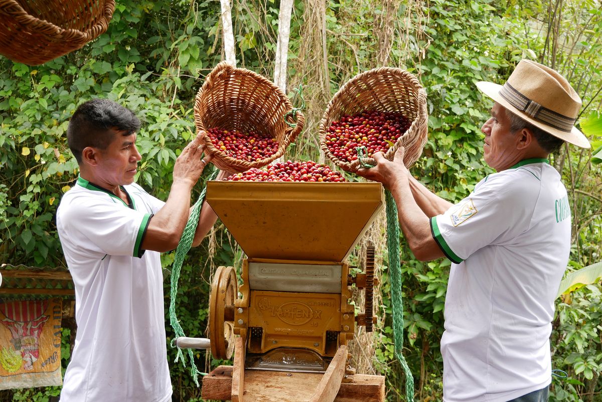 ペルーのアルトマヨ地区（c）Alex Bryce