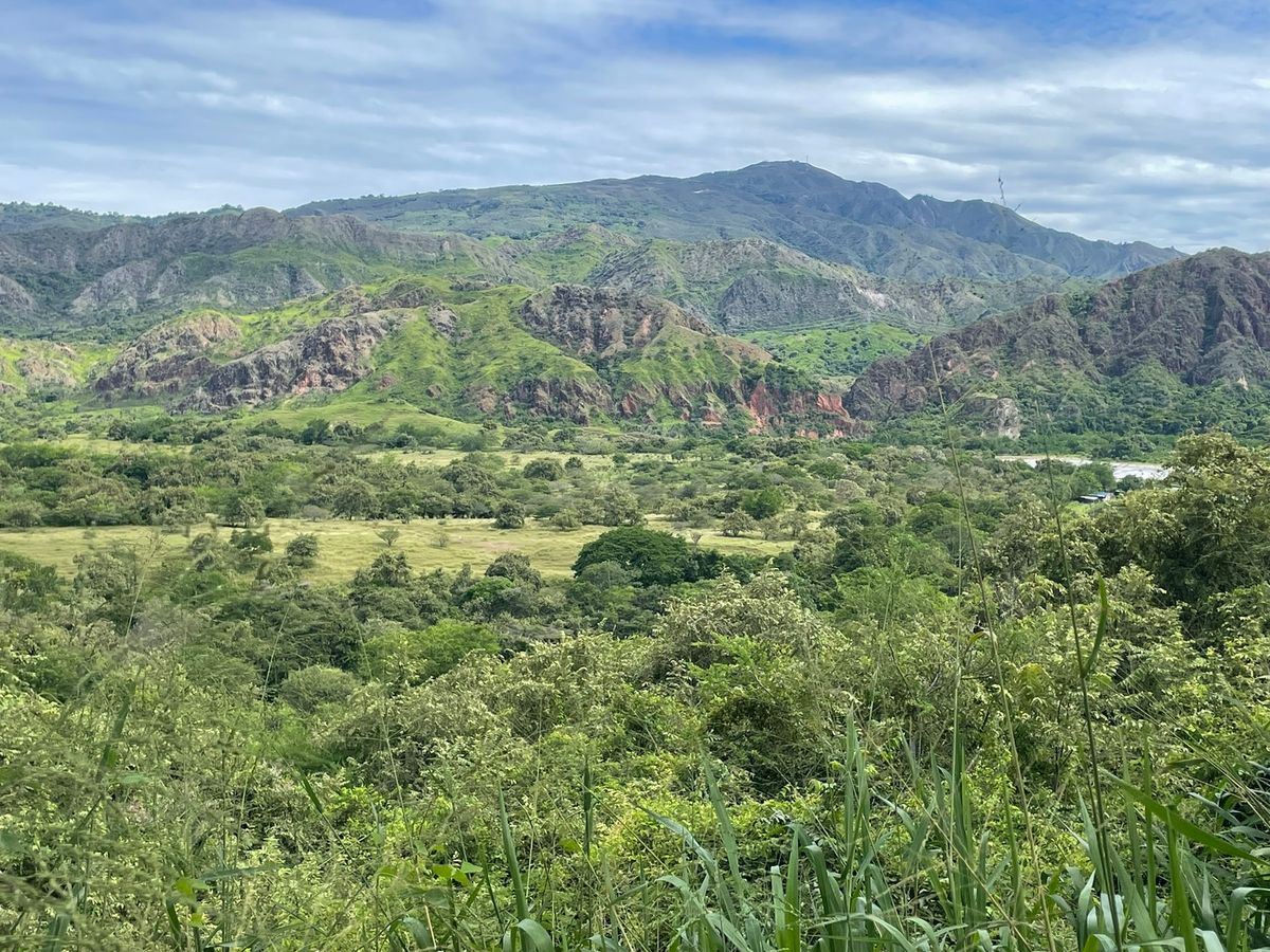 コロンビアのウィラ県（c）Conservation International/photo by Starry Sprenkle-Hyppolite