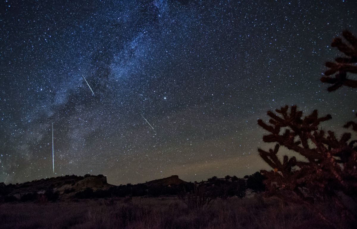 2016年のオリオン座流星群（Shutterstock.com）