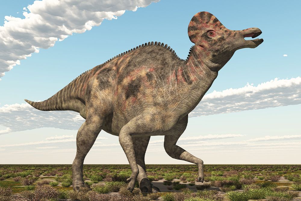 コリトサウルス（Getty images）