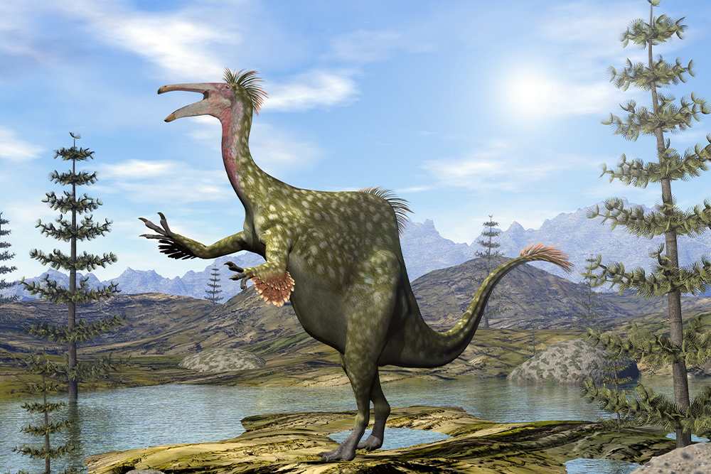 化石標本　絶滅種ワニ類　 ディロサウルス　極美麗 化石標本 絶滅種ワニ類 ディロサウルス 極美麗