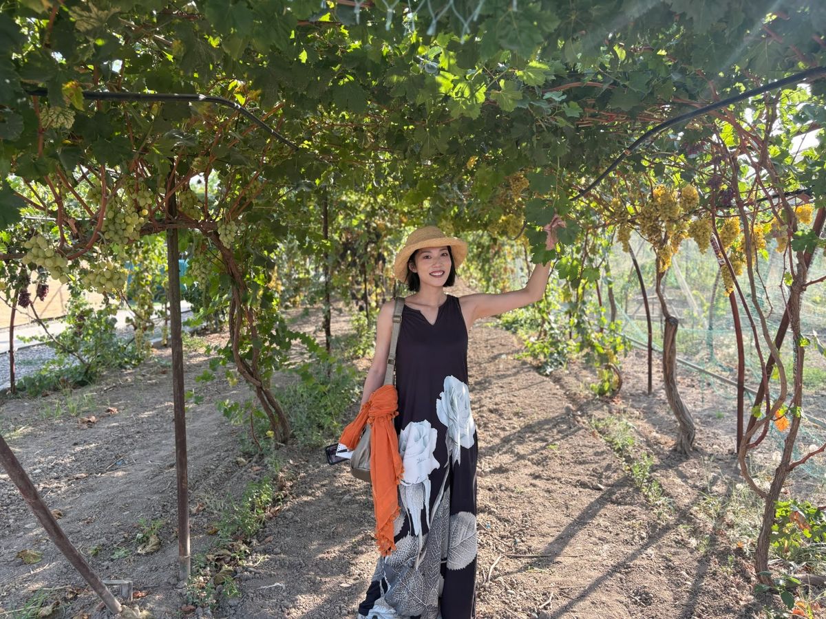 ウズベキスタンの温暖な気候に適した棚仕立て