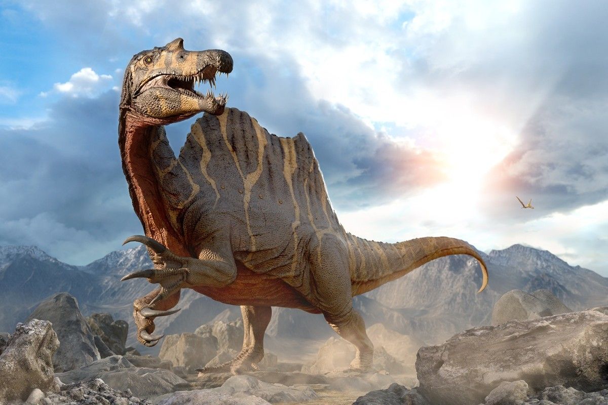 スピノサウルス（Shutterstock.com）