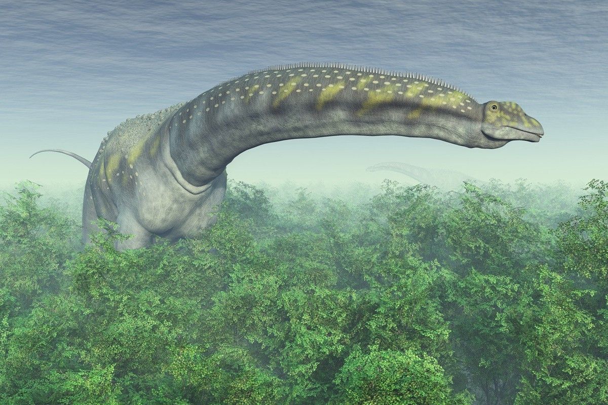 アルゼンチノサウルス（Shutterstock.com）