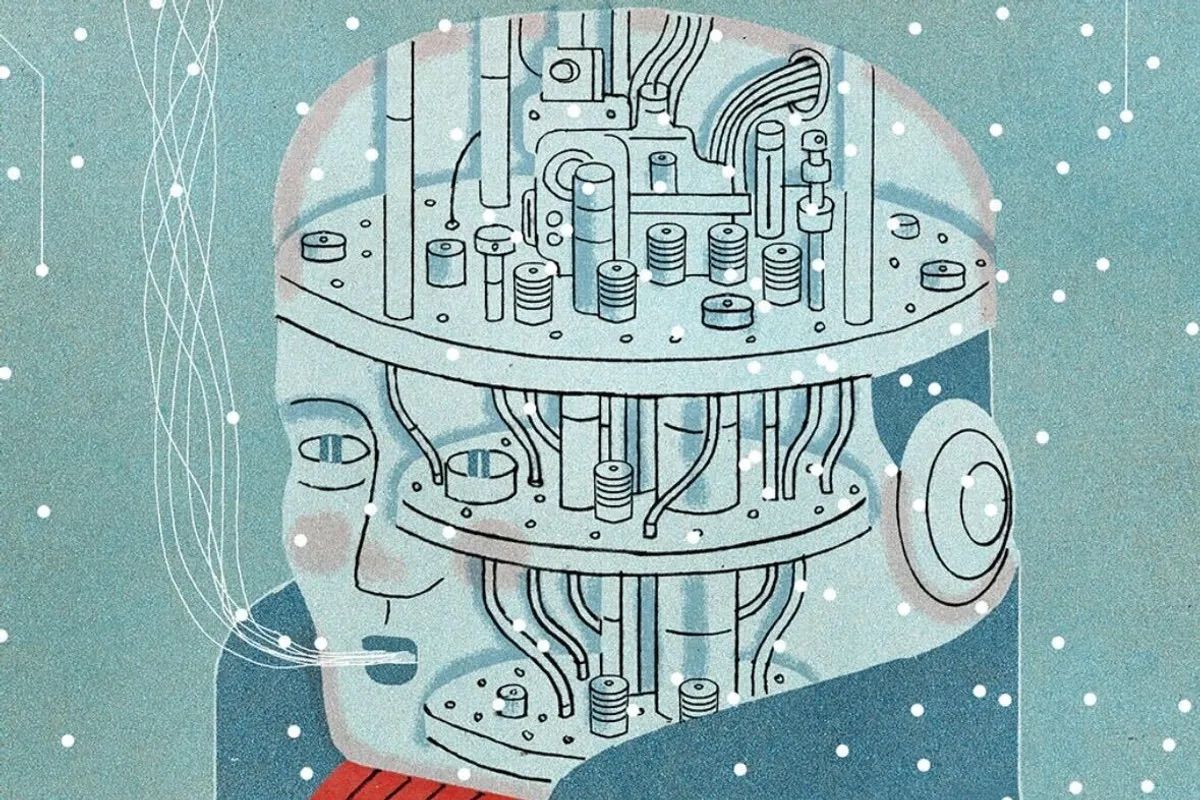 Brunswick Reviewより