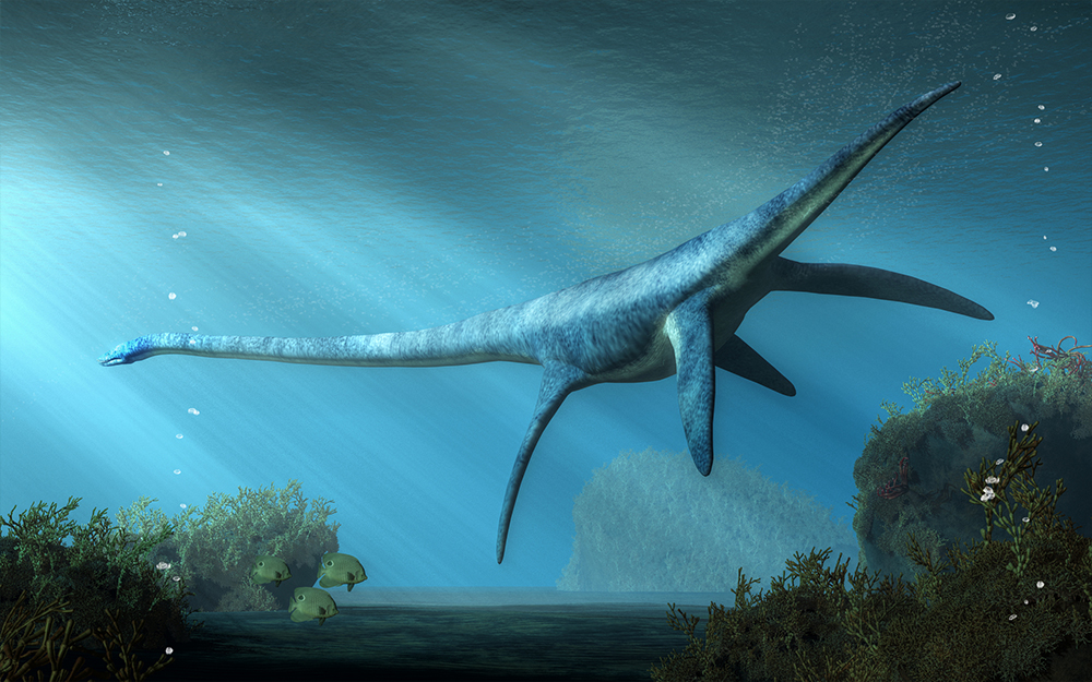 プレシオサウルスの体温は魚なみの25度。クジラとの「生い立ち」の違い