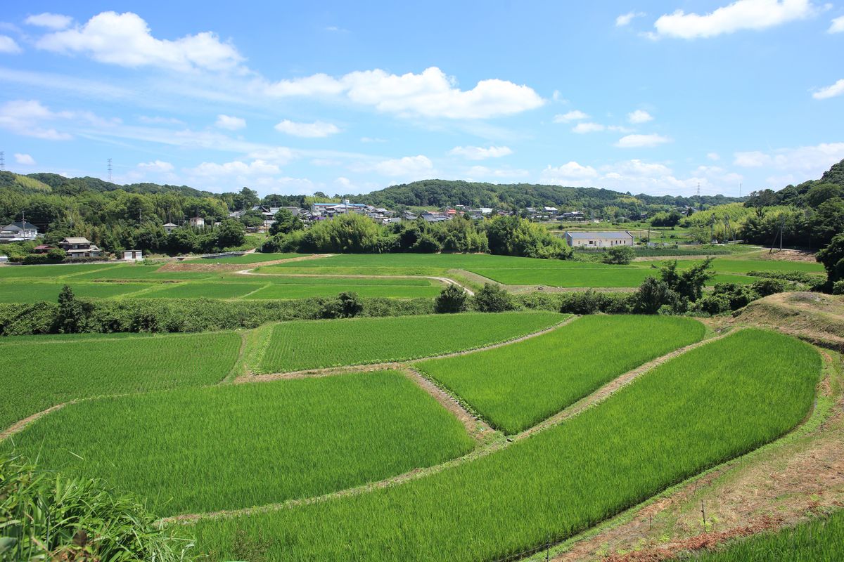 里山が広がる北区淡河町