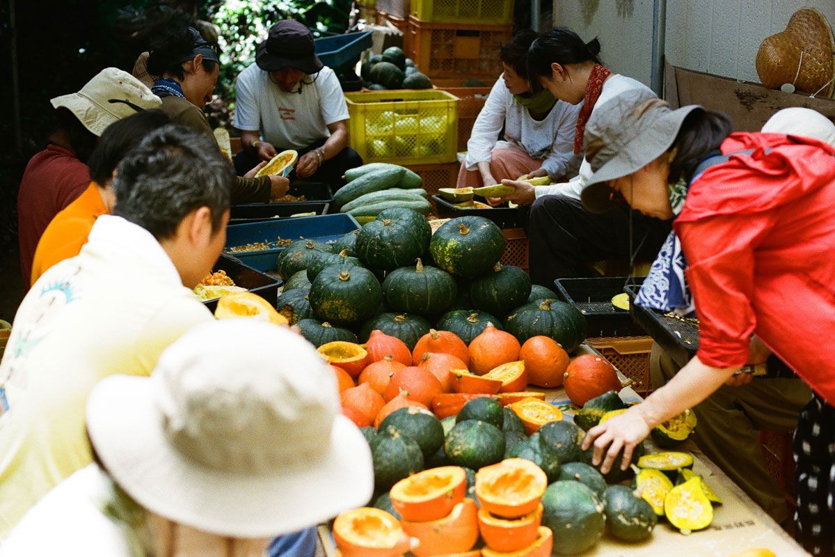 courtesy of Organic Base