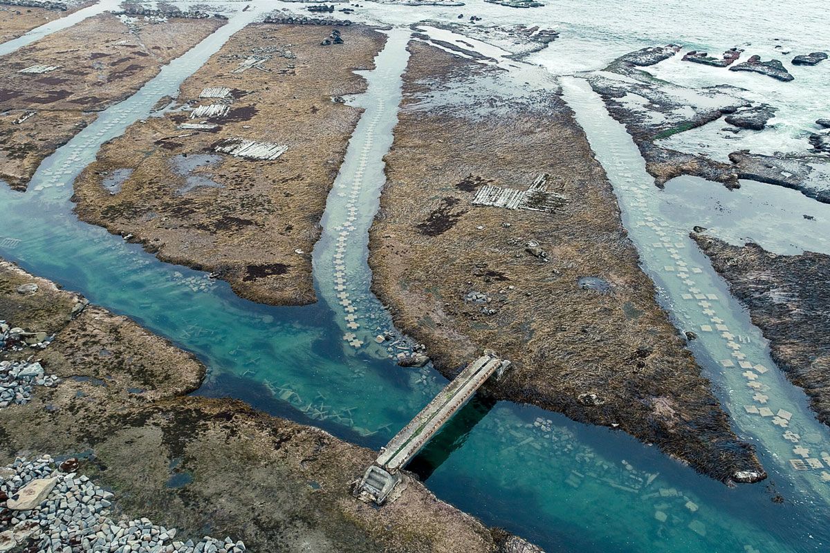 courtesy of Kita-Sanriku Factory