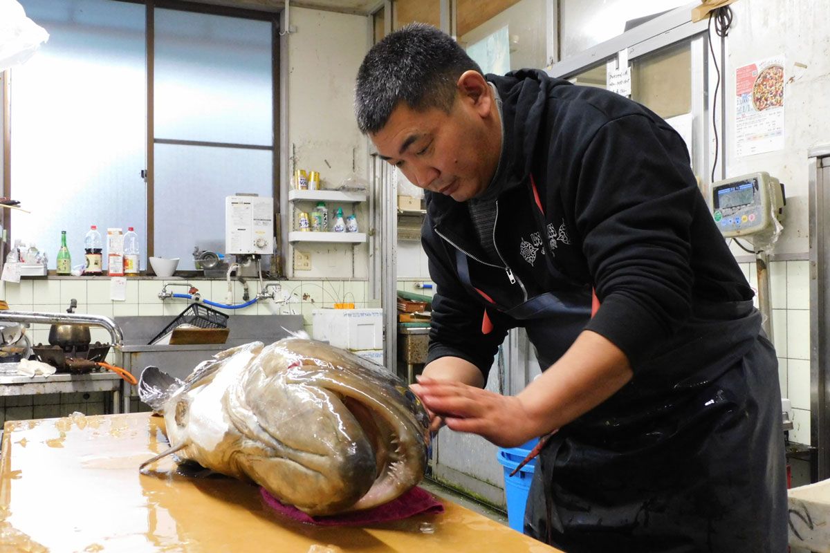 courtesy of Sasue Maeda Fish Store