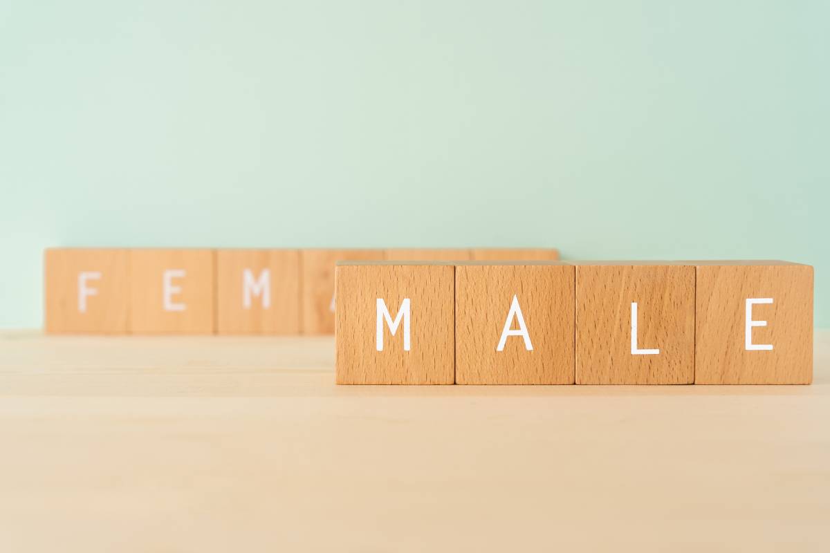 画像が削除されました