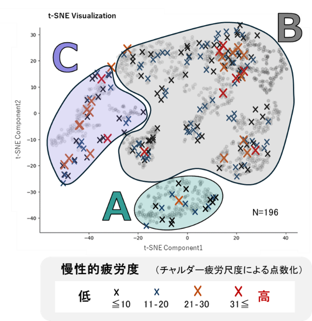 身体アライメントのゆがみタイプと 慢性的疲労度の関係性（花王提供）