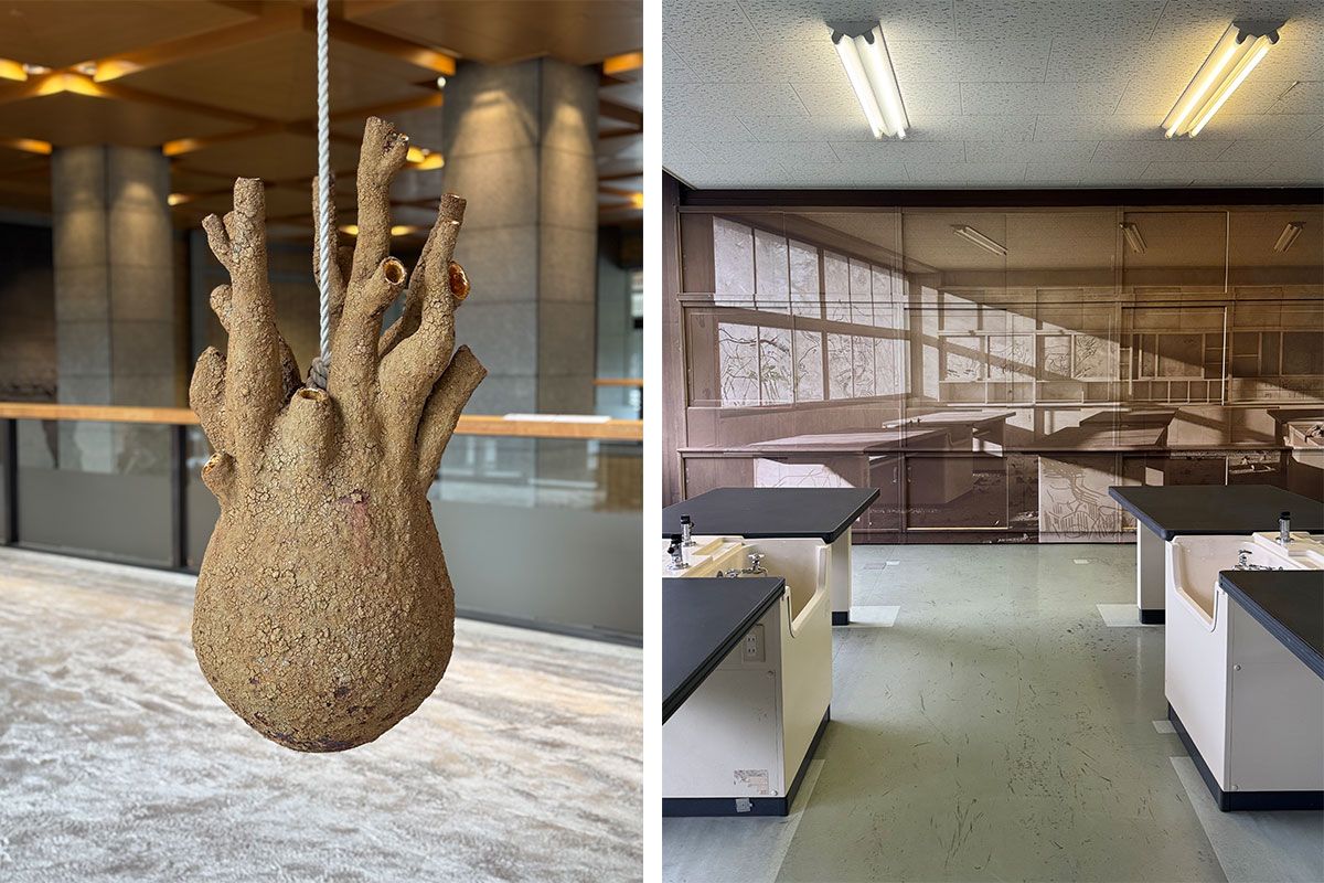 （左）西條茜の新作「シーシュポスの柘榴」。会期中には作品を用いたパフォーマンスもおこなわれる。（右）アルゼンチン出身のアドリアン・ビシャル・ロハスは、瀬戸市の閉校した学校の1フロアに異空間を創出した。