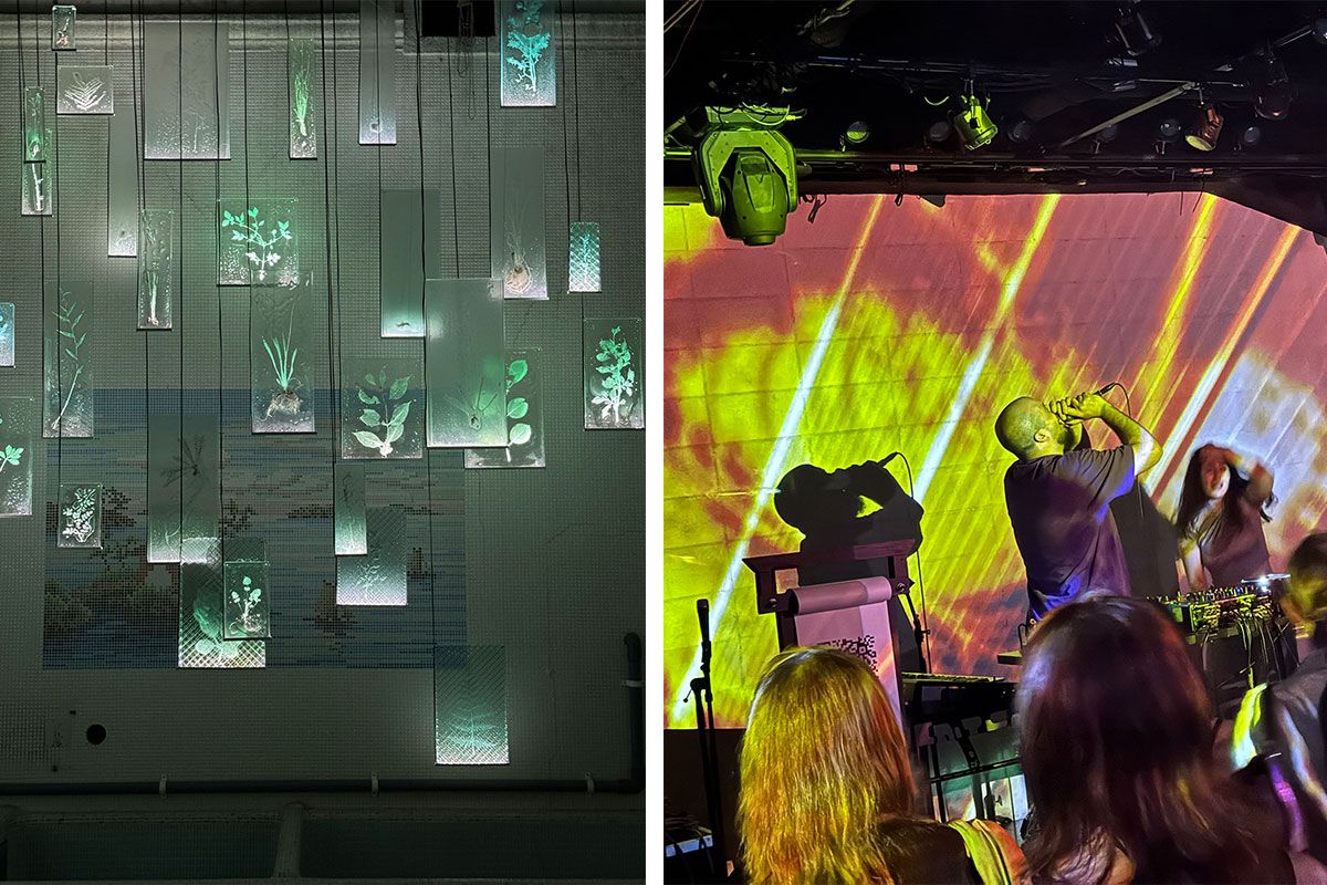 （左）佐々木類は、地元の人々と採取した植物をガラスに閉じ込め、閉業した瀬戸市の旧銭湯に幻想的な空間を生み出した。（右）映像インスタレーションでも出展しているバゼル・アッバス & ルアン・アブ＝ラーメは、バラリ、ハイカル、ジュルムッドを招き、名古屋のクラブで新作のパフォーマティブ・インスタレーション「Enemy of the Sun」を披露した。