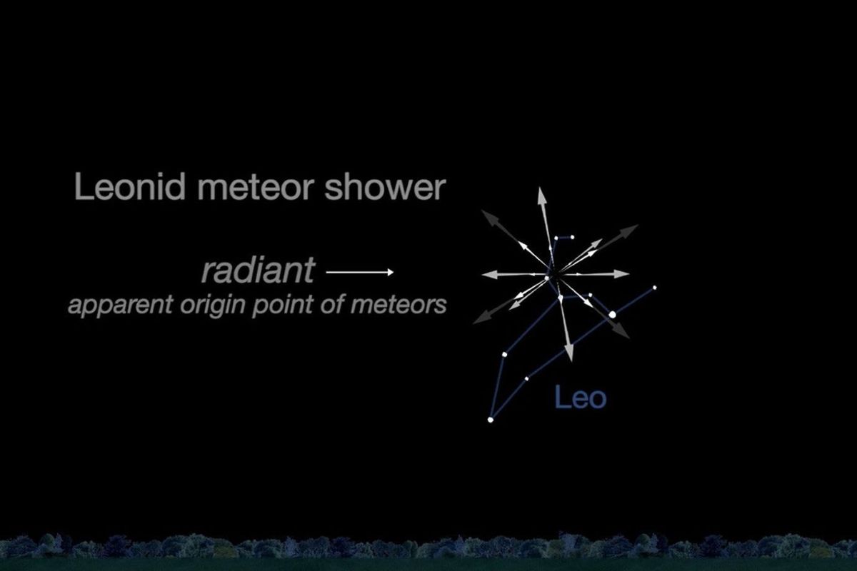 しし座流星群を見よう！ 18日未明に極大、「火球」に期待 高緯度地域