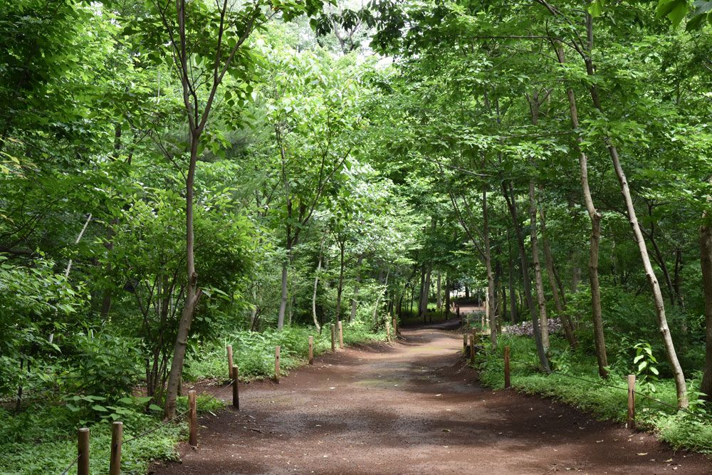 三富今昔村は石坂産業本社に隣接し、デイキャンプやオーガニックファームで獲れた野菜を提供するレストランなどを通じ、地域の憩いの場となっている。また、環境省「体験の機会の場として、工場見学、里山の暮らし体験、食農育体験など多彩なプログラムを提供。