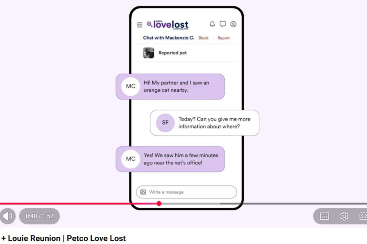 「Petco Love Lost」を通じて届いたルイ発見の第一報。YouTube公開動画より(Petco Love)