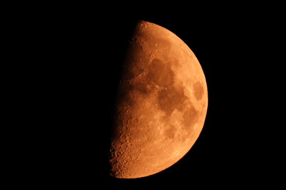 上弦の月（Shutterstock.com）