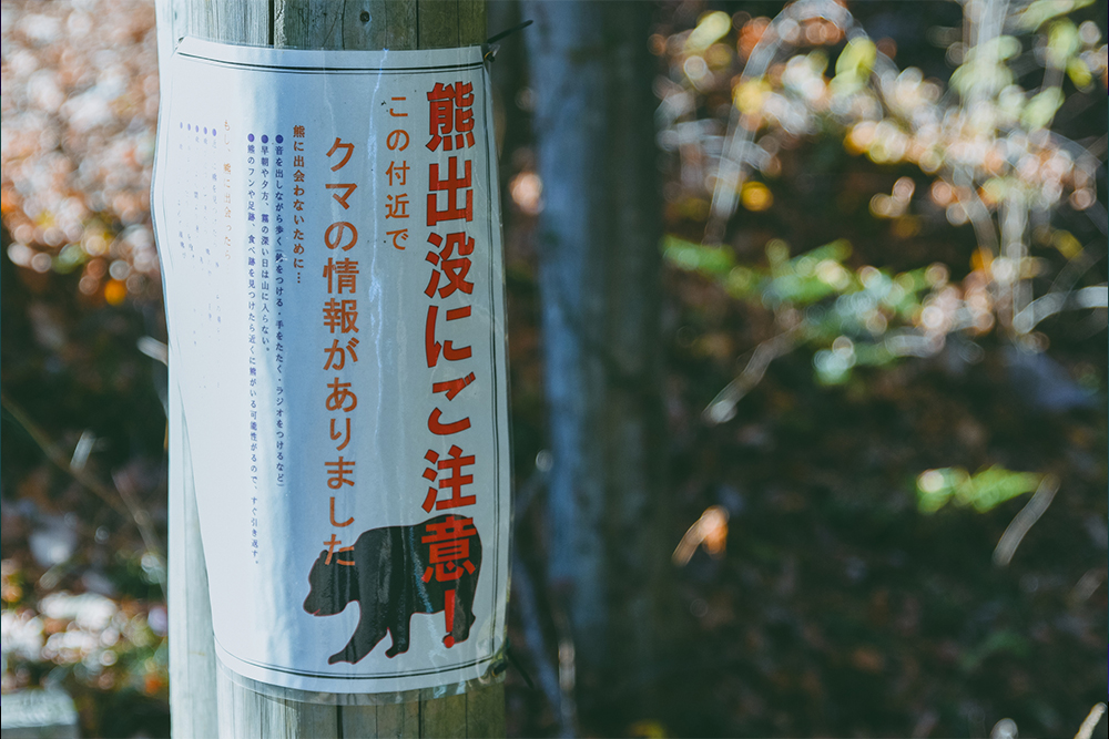 命がけのクマ駆除に謝礼は限界 資金難を救うふるさと納税 | Forbes