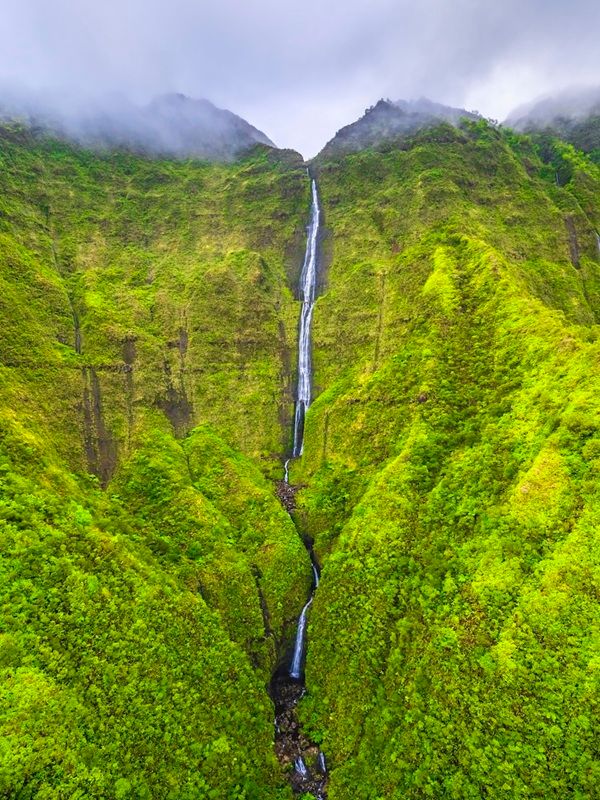 ワイアレアレ山とウィーピング・ウォール滝、米国ハワイ州カウアイ島（(c) Dr. Elliot McGucken of Los Angeles, California, USA. Photos courtesy of Nature's Best Photography, All rights reserved.）