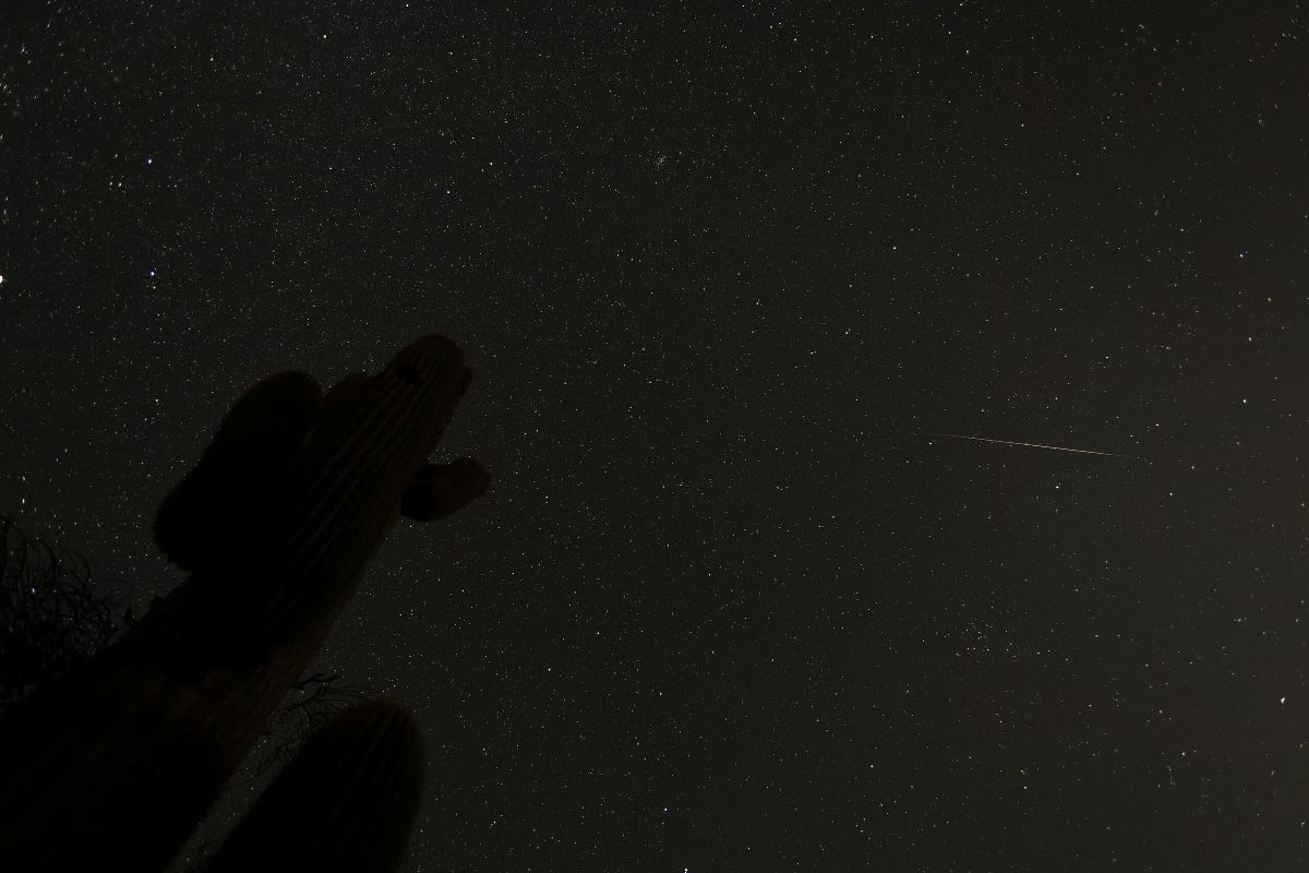 米アリゾナ州にあるサワロ国立公園の上空を流れる、こぐま座流星群の流れ星（Clyde Charles Brown, CC BY-SA 4.0 <https://creativecommons.org/licenses/by-sa/4.0>, via Wikimedia Commons）