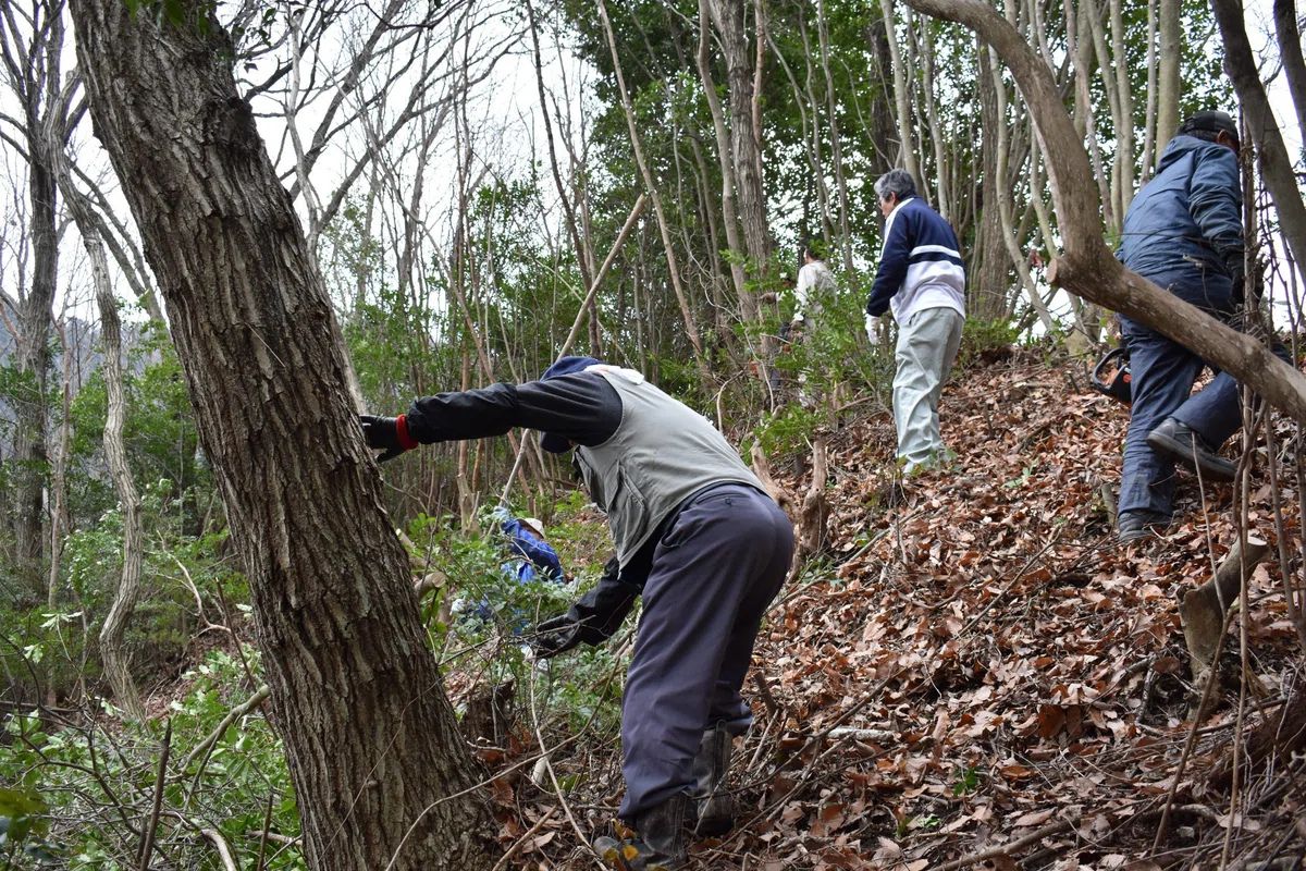 写真提供：トピカ