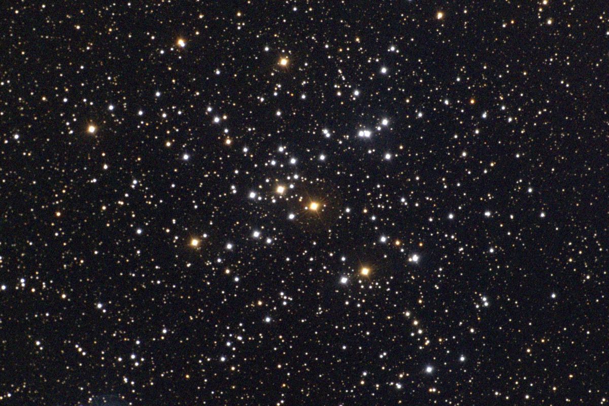 おおいぬ座の散開星団M41。地球からの距離は約2300光年で、直径は約25光年、年齢は約2億年とみられる。1997年9月に米アリゾナ州にあるケースウェスタンリザーブ大学ワーナー＆スウェージー天文台のバレル・シュミット望遠鏡で撮影（NOIRLab/NSF/AURA）