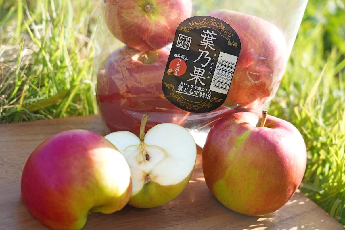 「葉乃果（はのか）」内藤氏がCEOを務める日本農業が手がける「葉とらずリンゴ」のブランド。通常の栽培方法ではリンゴの着色を良くするため収穫前に葉を摘むが、この作業をできる限り行わない「葉とらず栽培」を採用。葉に隠れる部分に色ムラができるものの、光合成で得た栄養を果実がしっかり蓄え、濃厚な甘さとジューシーさを実現するという。