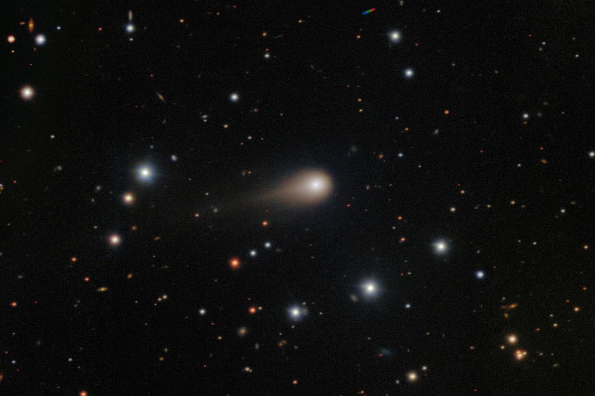 ジェミニ南望遠鏡が捉えた3I/ATLAS（International Gemini Observatory/NOIRLab/NSF/AURA/Shadow the Scientist Image Processing: J. Miller & M. Rodriguez (International Gemini Observatory/NSF NOIRLab), T.A. Rector (University of Alaska Anchorage/NSF NOIRLab), M. Zamani (NSF NOIRLab)）