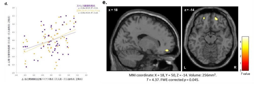 顕在記憶バイアスと相関するストレス関連指標。日中コルチゾールの量（黄）が減るとストレス脆弱性（紫）も減る（左）。扁桃体と前頭眼窩皮質内側との機能結合の増強が見られた（右）。