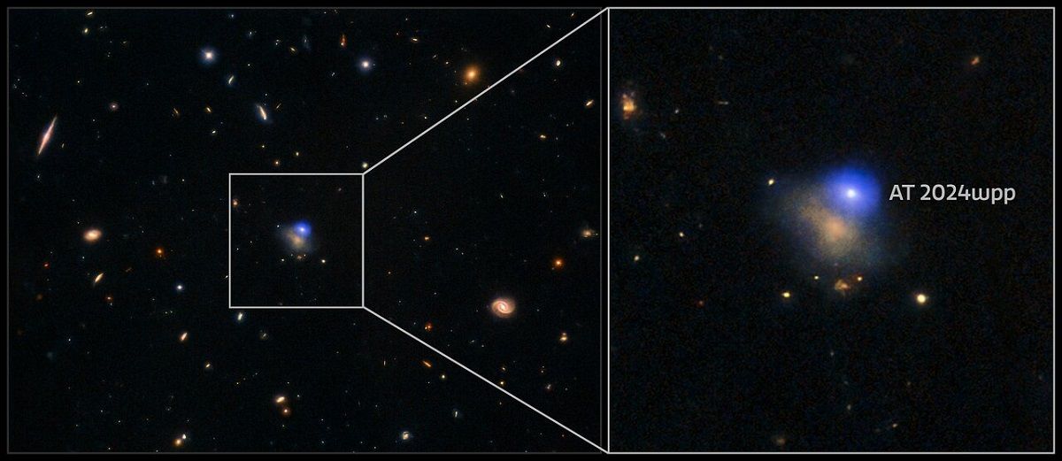 LFBOT天体AT 2024wppの拡大画像 International Gemini Observatory/NOIRLab/NSF/AURA, Image Processing: J. Miller (International Gemini Observatory/NSF NOIRLab), T.A. Rector (University of Alaska Anchorage/NSF NOIRLab), M. Zamani & D. de Martin (NSF NOIRLab)