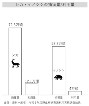 クマだけじゃない「獣被害188億円」に一石、製缶大手+辻󠄀調が「ジビエ