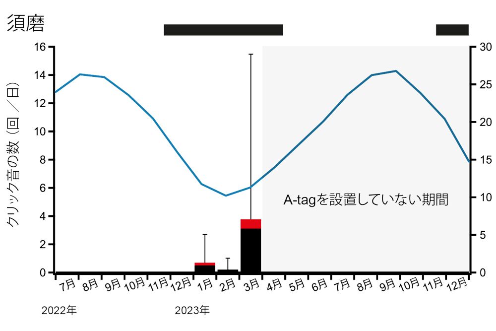 舞子（上）と須磨（下）の観測結果。海苔養殖が行われる3月にハセイルカの声が多く聞かれた。