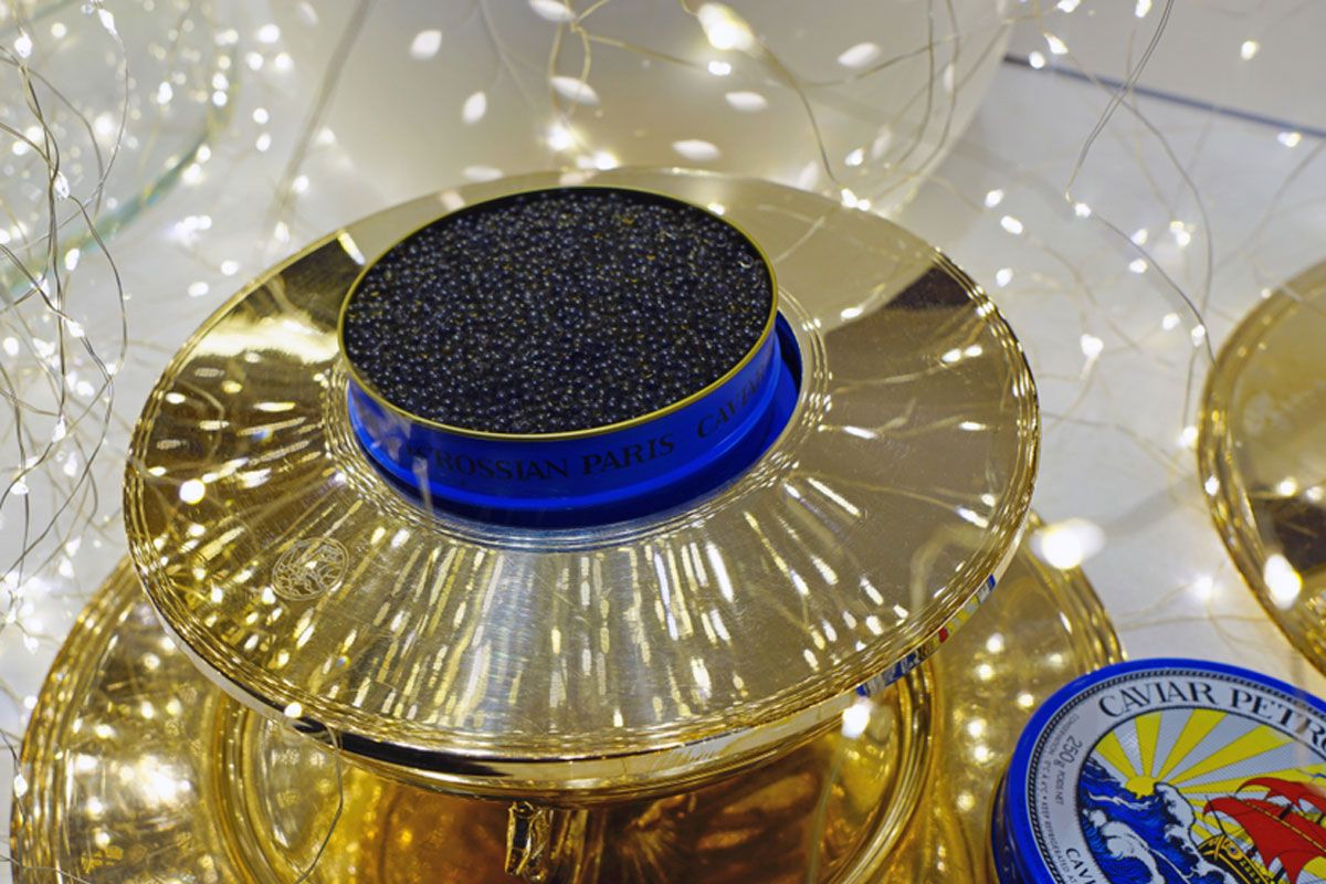 EQRoy/Shutterstock.com