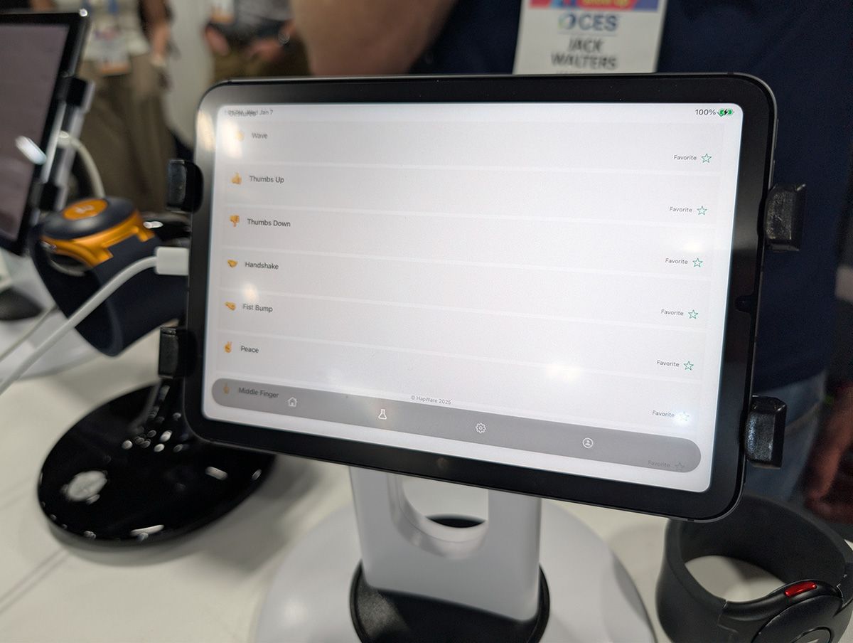 対面する人物の表情を読み取り、さまざまな振動パターンによりコミュニケーションをサポートすることがこのデバイスの目的だ