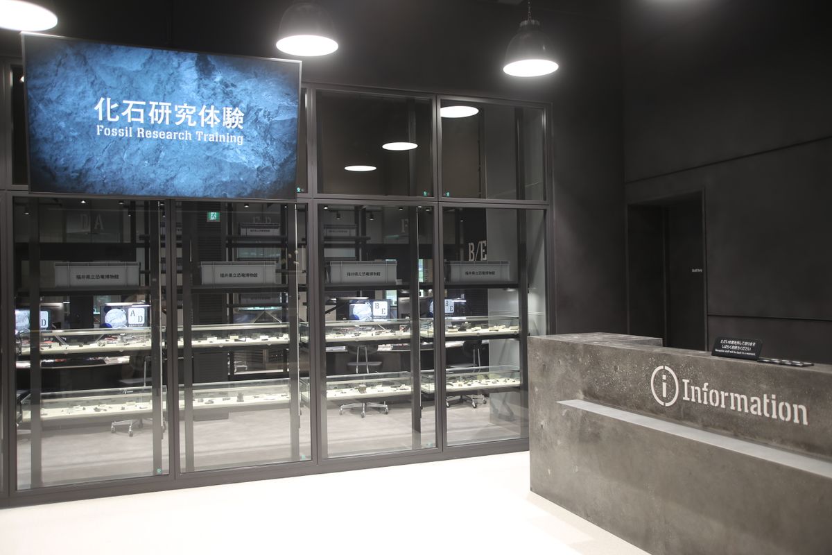 リニューアルし参加型の体験コンテンツでより魅力を伝える機会を作る