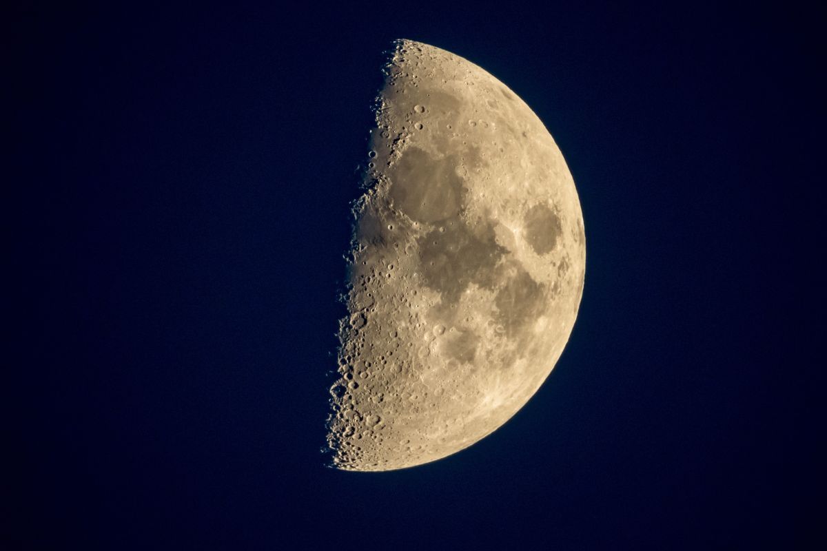 上弦の月（Shutterstock.com）