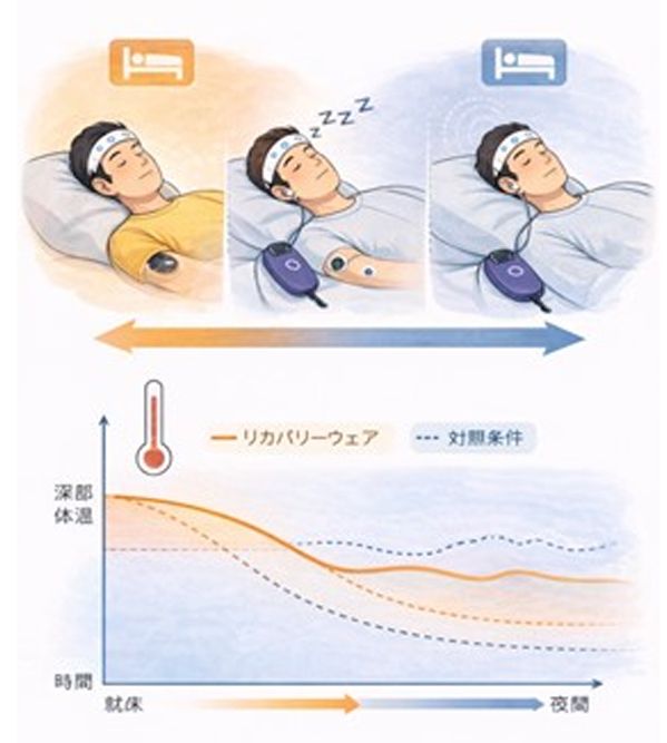 リカバリーウェアと普通のウェアを着て寝たときの入眠過程と睡眠中の深部体温の変化。グラフはあくまで概念図で数値を示すものではない。