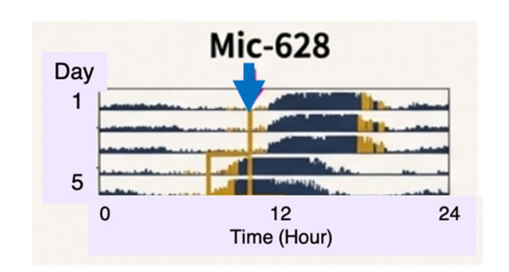Mic-628の経口投与により概日リズムの位相が前進した。