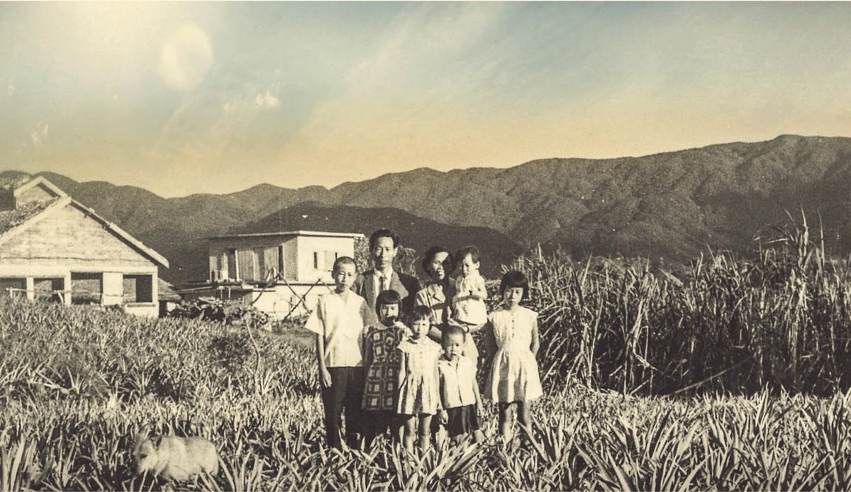 （c）2016 Moolin Films, Ltd.