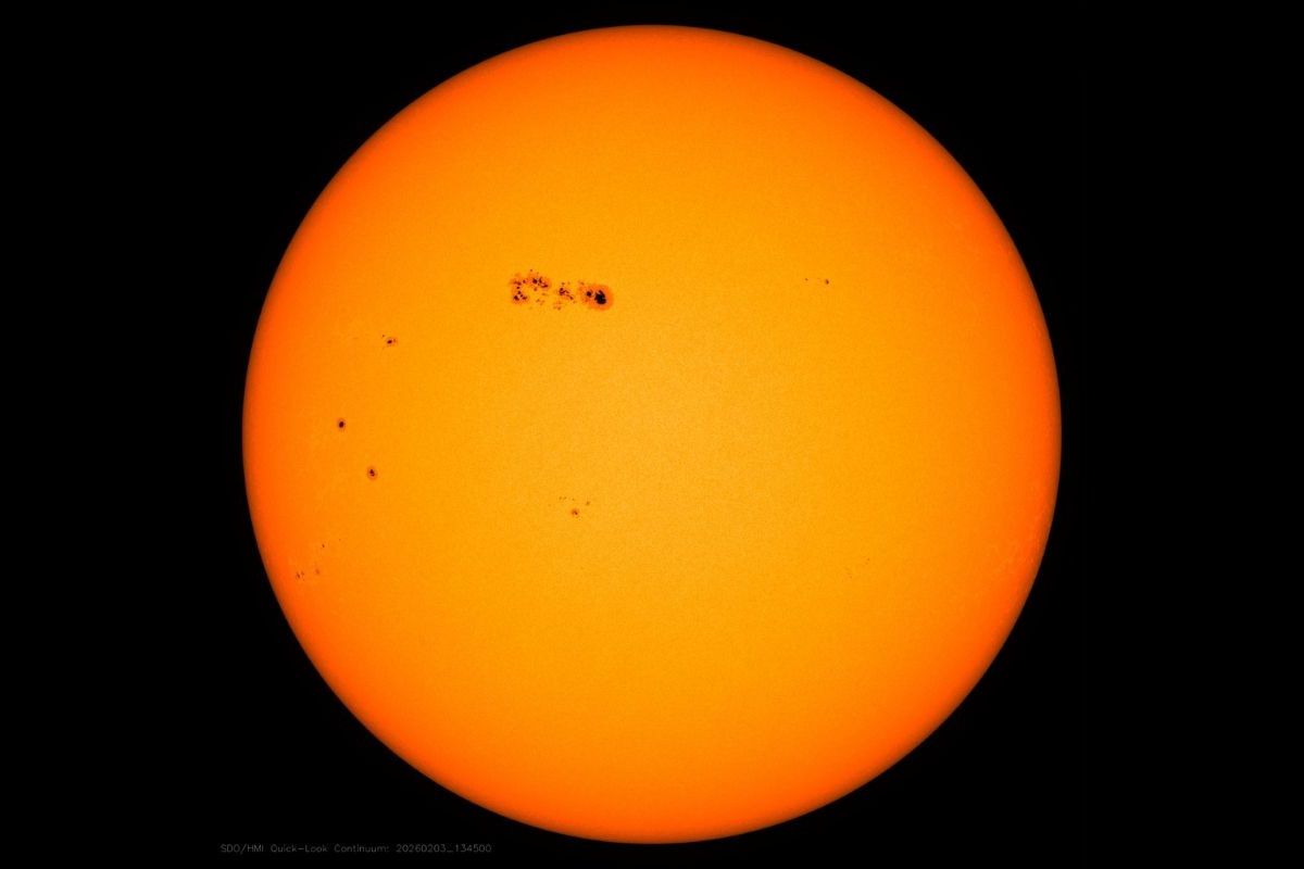 2026年2月3日時点の太陽の黒点のようす。中央左上に見える黒点群が「AR 4366」（NASA/SDO）