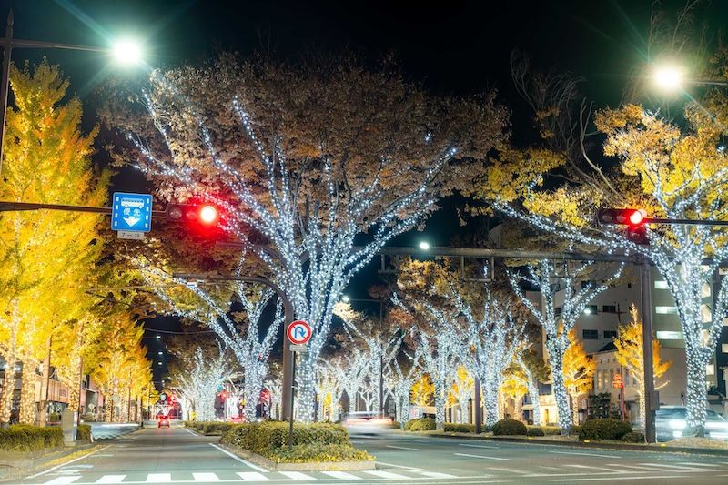 提供：株式会社タカショーデジテック