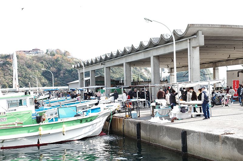漁港に戻った船から獲ったばかりの魚を直接購入できる”はた売り”
