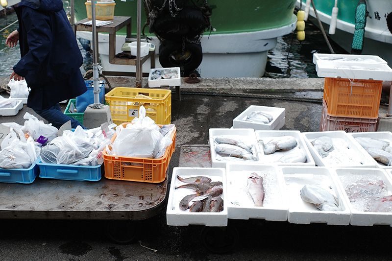 時期によって豊富な魚種がならび、まとめて安価で購入できる。