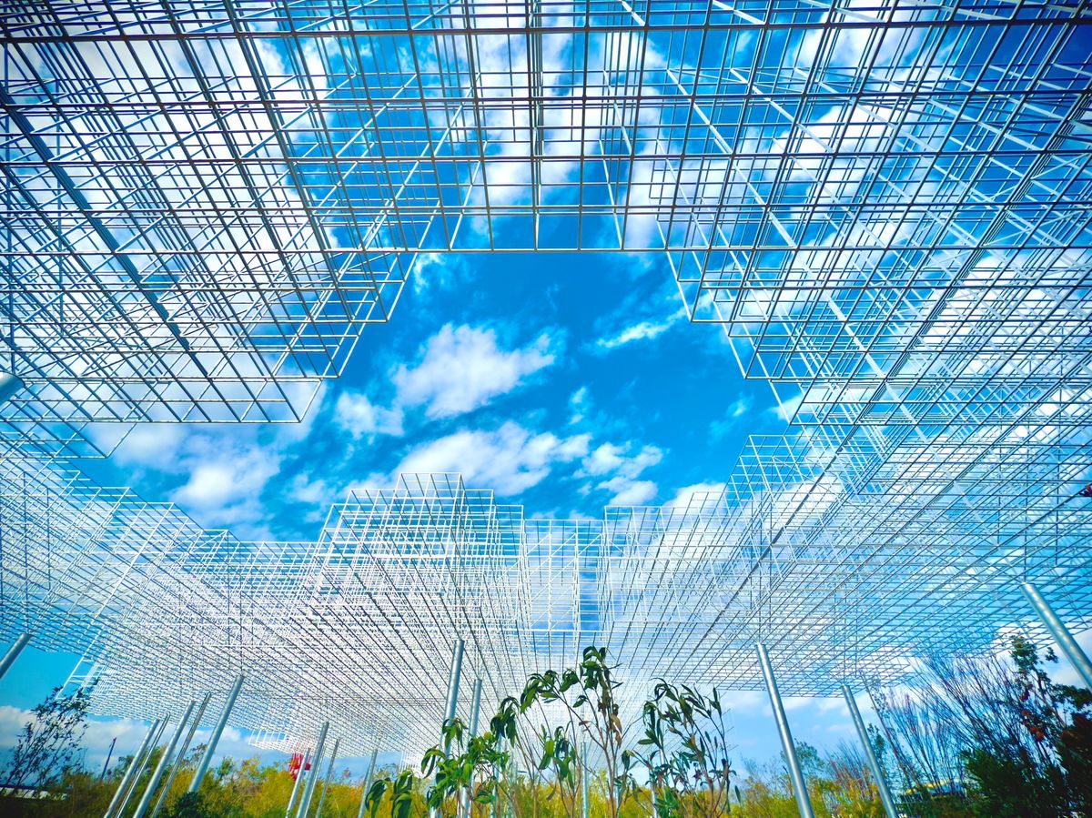 静けさの森（宮田裕章撮影）