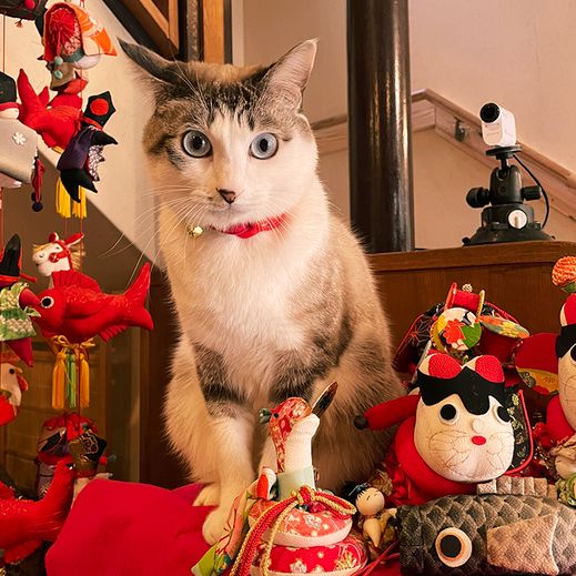 ちゃっぴー（栃木県／塩原温泉 山口屋旅館）