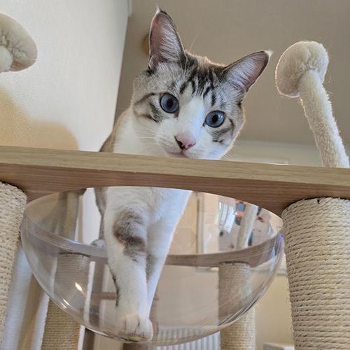 レオン（北海道／岩盤浴 慈の癒）