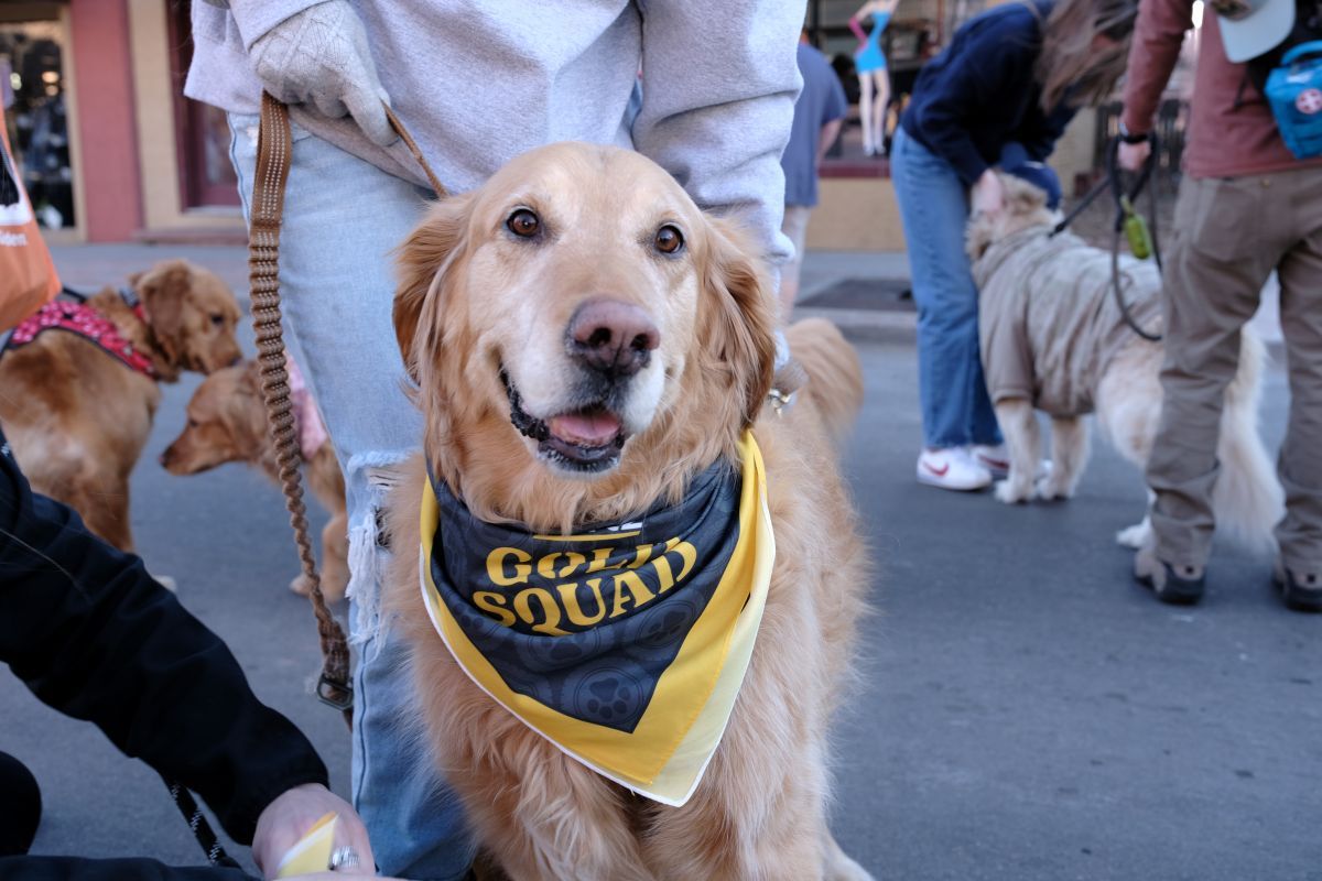 米コロラド州ゴールデンで開催された「ゴールデンズ・イン・ゴールデン2026」の一幕。2026年2月7日撮影(Visit Golden)