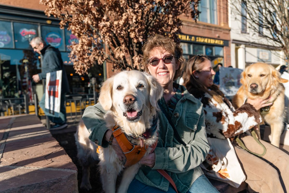 ゴールデンレトリバー5500匹、米ゴールデン市に大集結！ 冬場の町